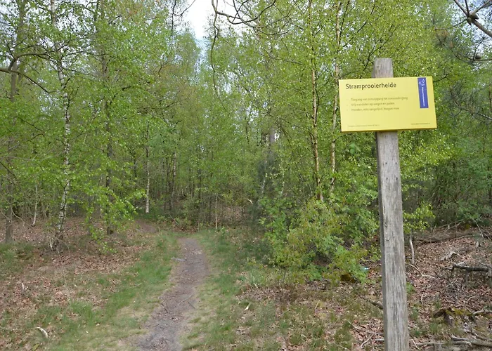 Holiday Home In Stramproy Nature Reserve Holiday home